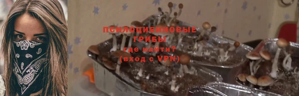 стафф Белокуриха