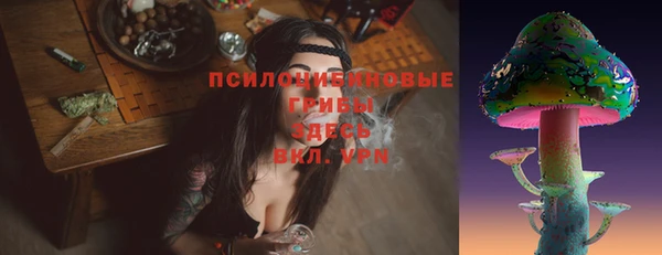 стафф Белокуриха