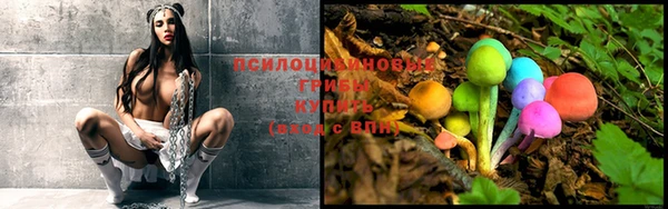 мдпв Белоозёрский
